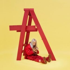 Don't Smile At Me - Billie Eilish