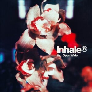 Open Wide (Vinilo rojo) - Inhaler
