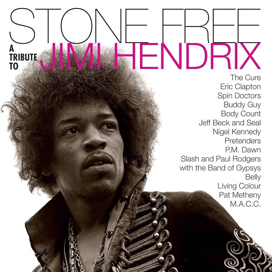 Stone Free a Tribute to Jimi Hendrix (2 LP) - Kiss the Sky!
